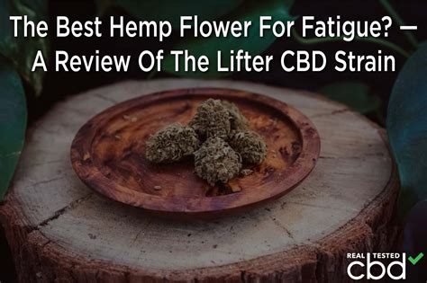 The Best Hemp Flower For Fatigue? — A Review Of The Lifter CBD Strain